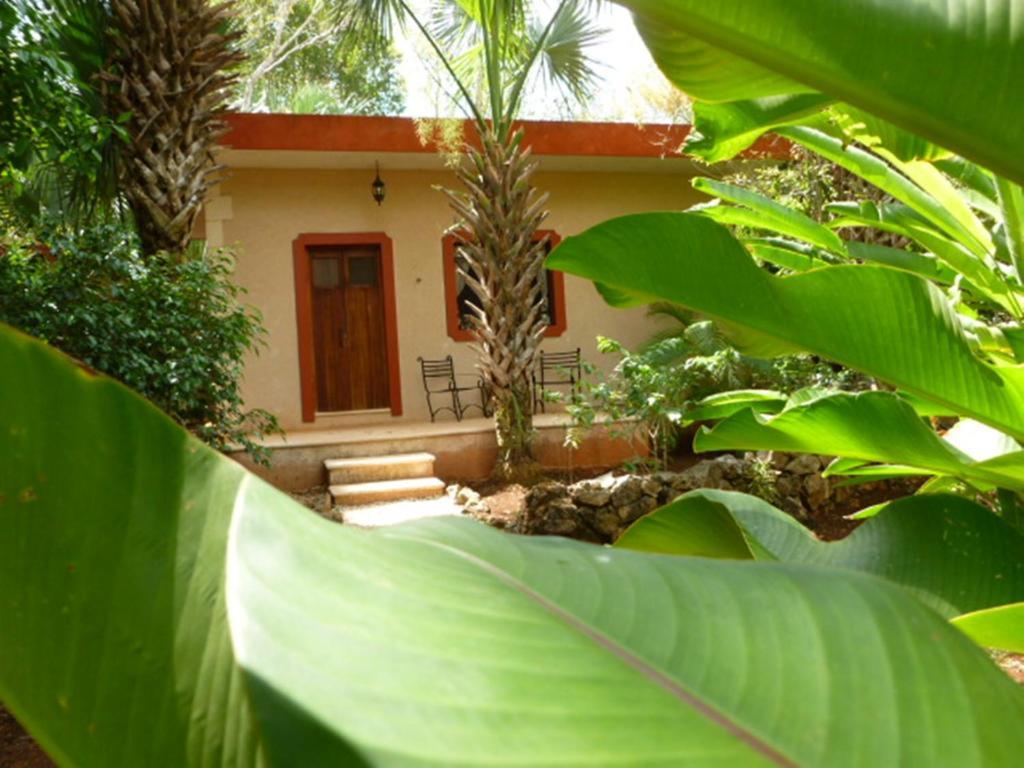 The Flycatcher Inn Retreat Hotel ซานตา เอเลนา ภายนอก รูปภาพ