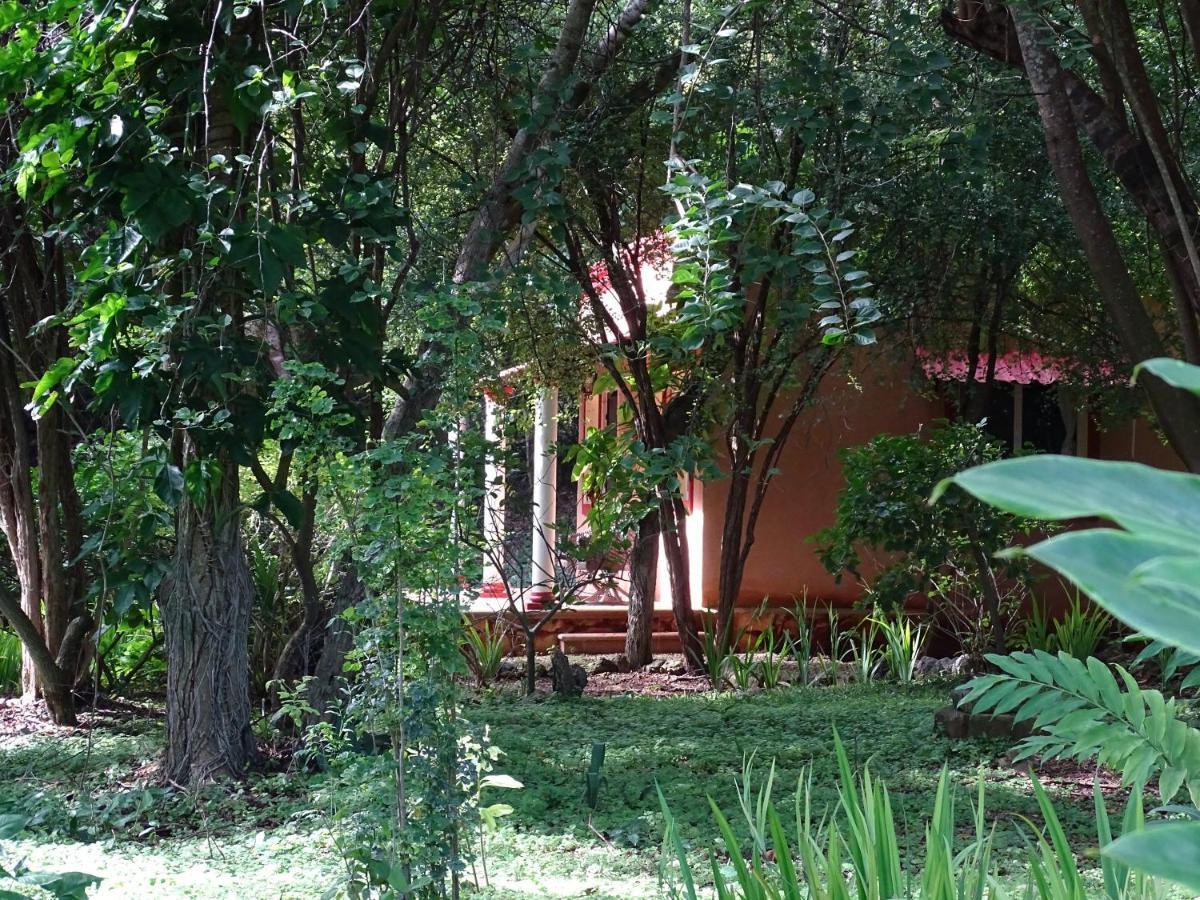 The Flycatcher Inn Retreat Hotel ซานตา เอเลนา ภายนอก รูปภาพ