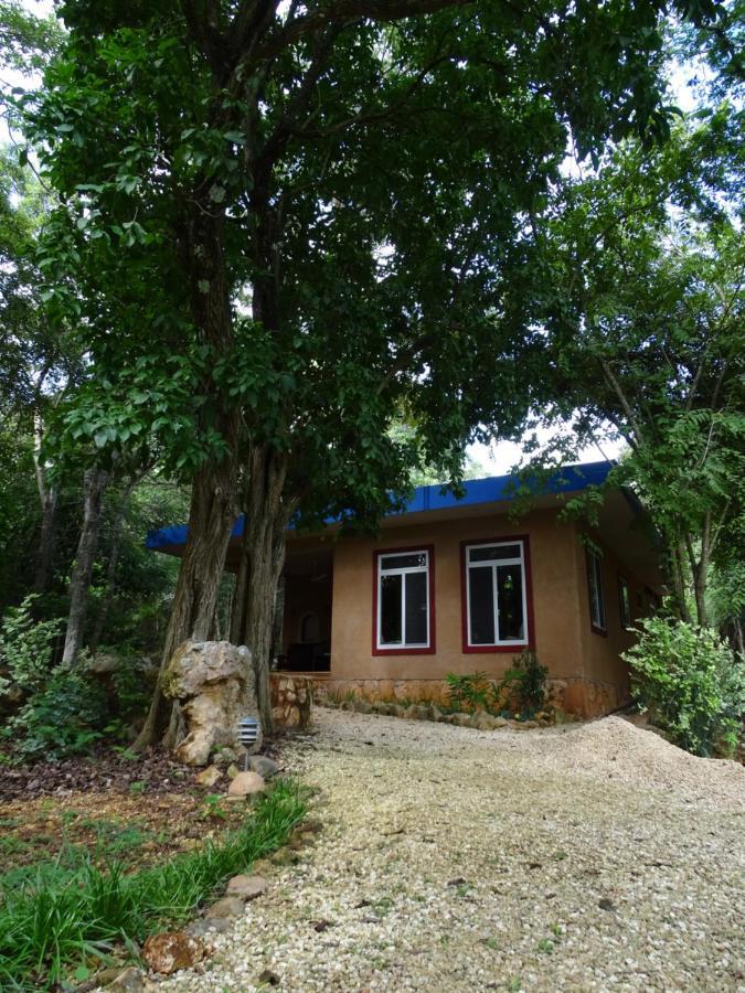 The Flycatcher Inn Retreat Hotel ซานตา เอเลนา ภายนอก รูปภาพ