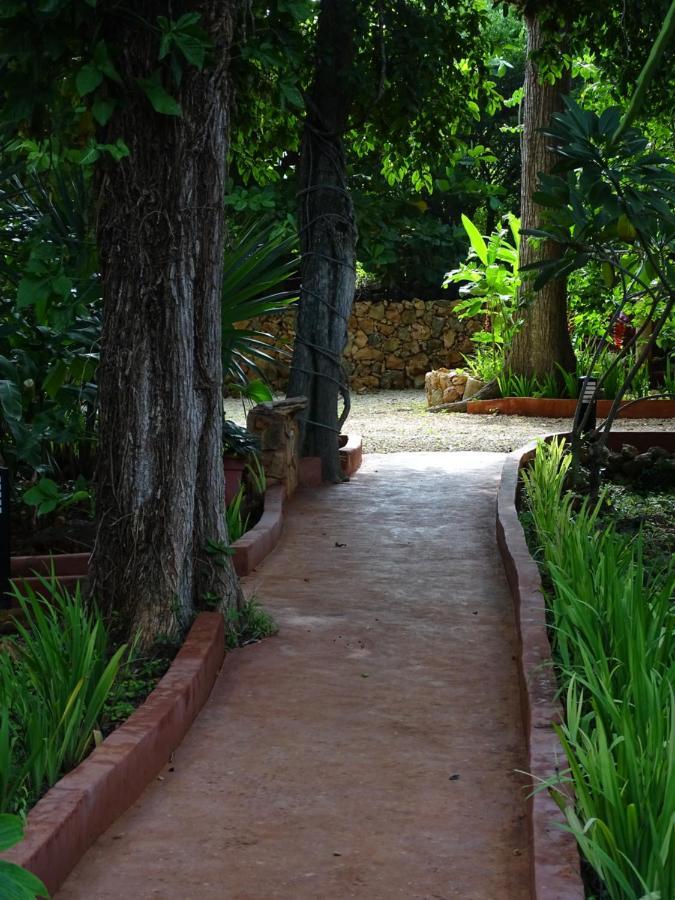 The Flycatcher Inn Retreat Hotel ซานตา เอเลนา ภายนอก รูปภาพ
