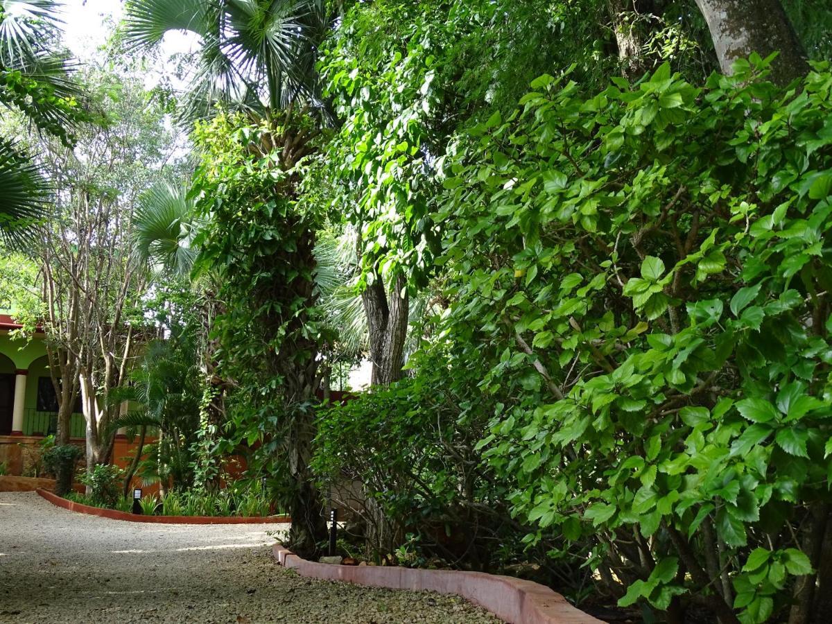 The Flycatcher Inn Retreat Hotel ซานตา เอเลนา ภายนอก รูปภาพ